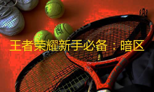 三角洲行动物资透视工具王者荣耀新手必备：暗区突围外挂神器大揭秘